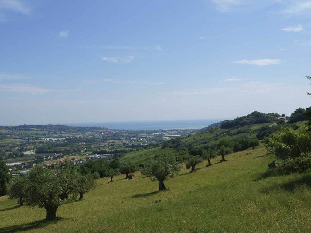 Rustico / casale a Campofilone in campofilone - Foto 2