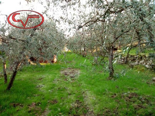 Terreno a Bucine in San Pancrazio - Foto 2