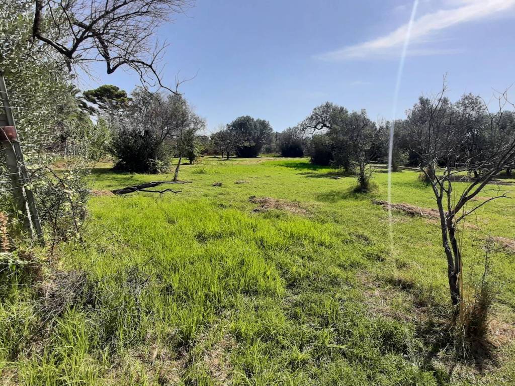 Terreno a Siderno in Via Adelaide, 24 - Foto 2