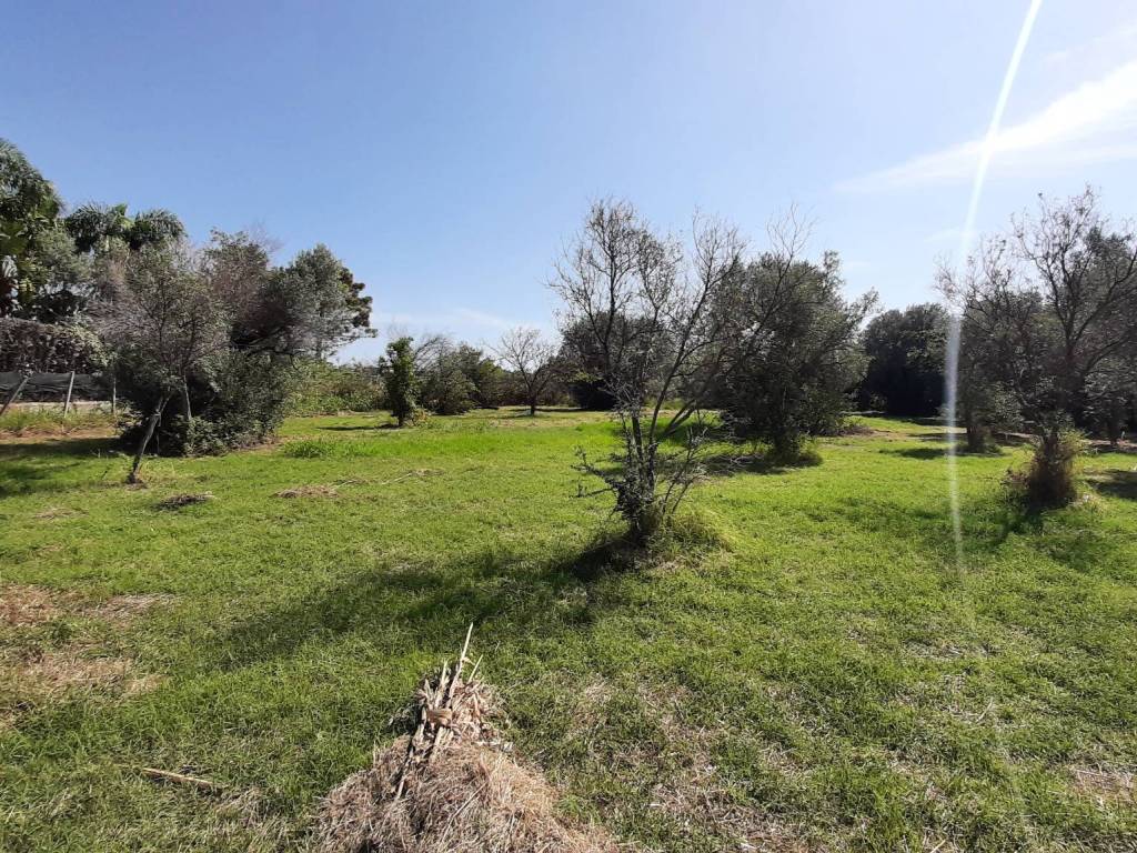 Terreno a Siderno in Via Adelaide, 24 - Foto 3
