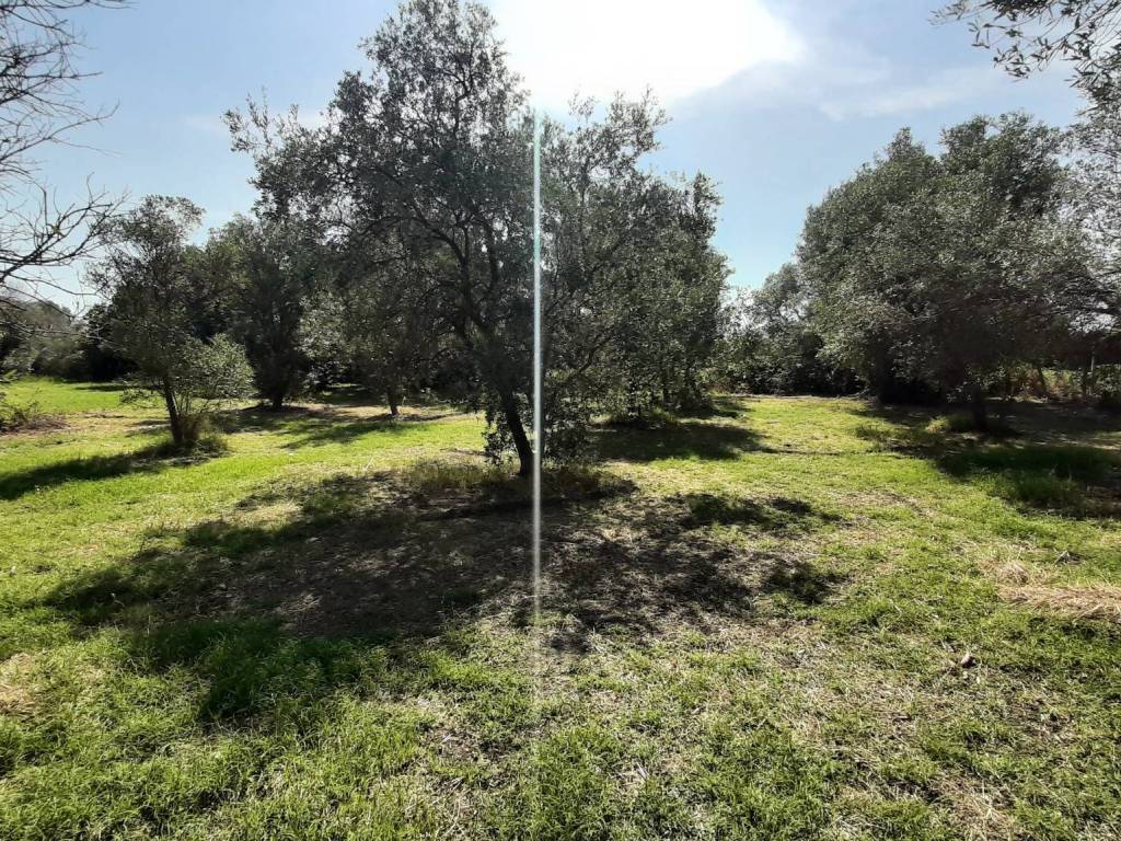 Terreno a Siderno in Via Adelaide, 24 - Foto 4