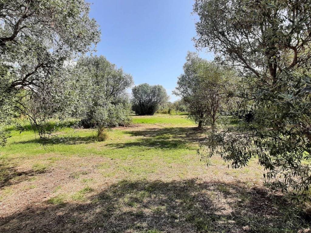 Terreno a Siderno in Via Adelaide, 24 - Foto 5