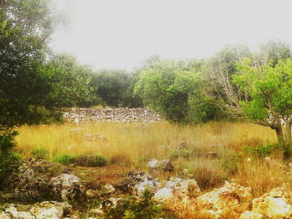 Villa a Patù - Foto 4