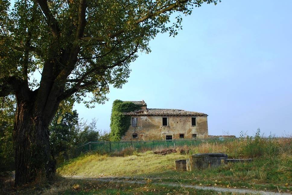 Rustico / casale a Cortona - Foto 4