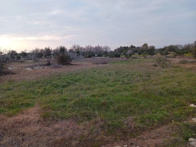 Terreno a Corigliano d'otranto in Via Case - Foto 4