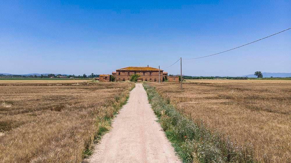 Rustico / casale a Sinalunga - Foto 2