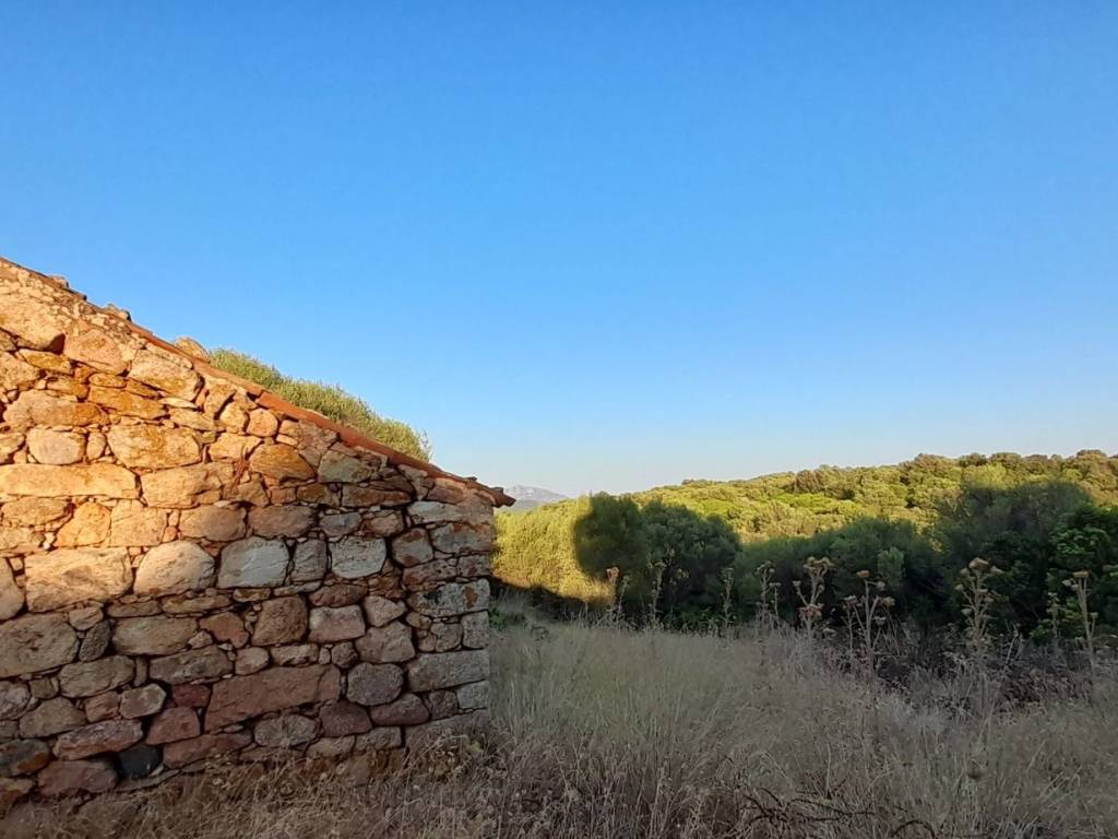 Terreno a Luogosanto in Strada Provinciale per Luogosanto - Foto 3