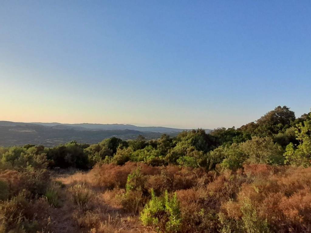 Terreno a Luogosanto in Strada Provinciale per Luogosanto - Foto 4