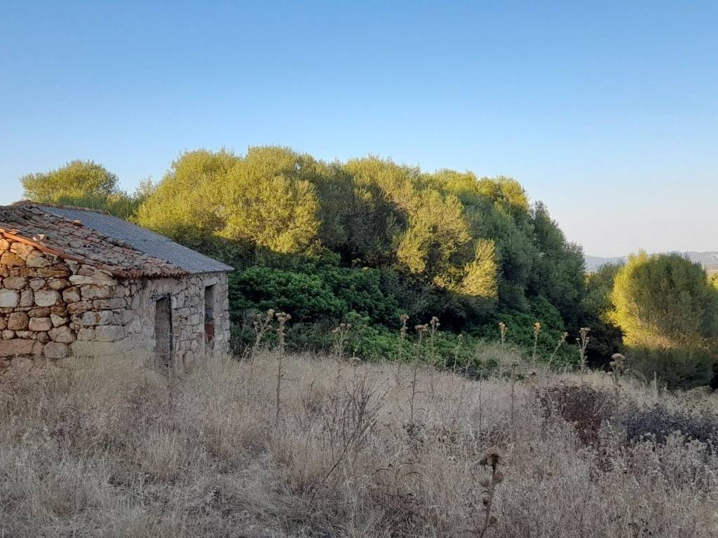 Terreno a Luogosanto in Strada Provinciale per Luogosanto - Foto 5