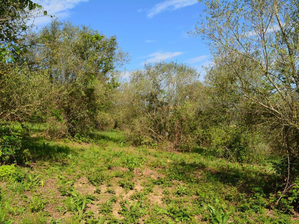 Terreno a Moscufo in Via Chieti - Foto 2