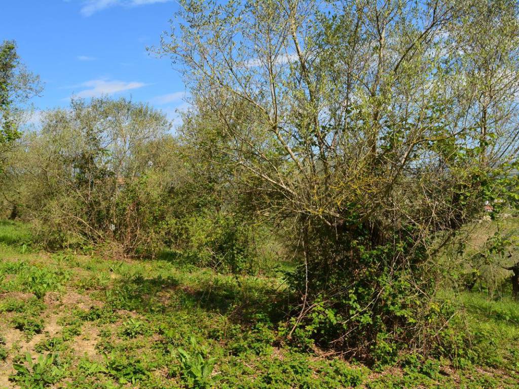 Terreno a Moscufo in Via Chieti - Foto 3