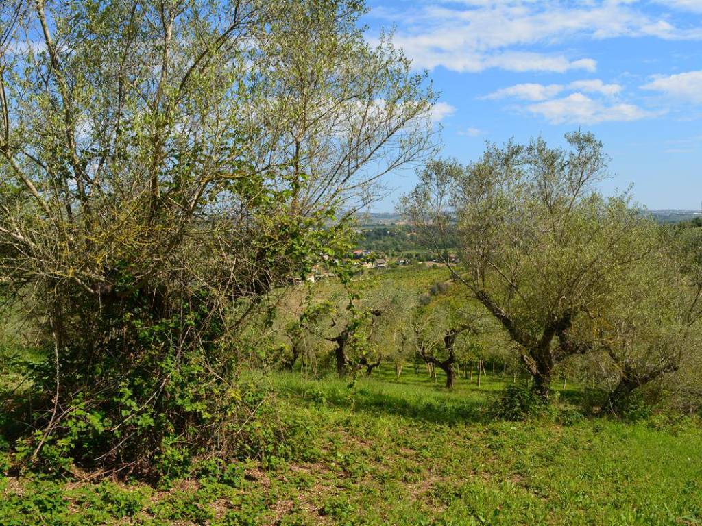 Terreno a Moscufo in Via Chieti - Foto 4