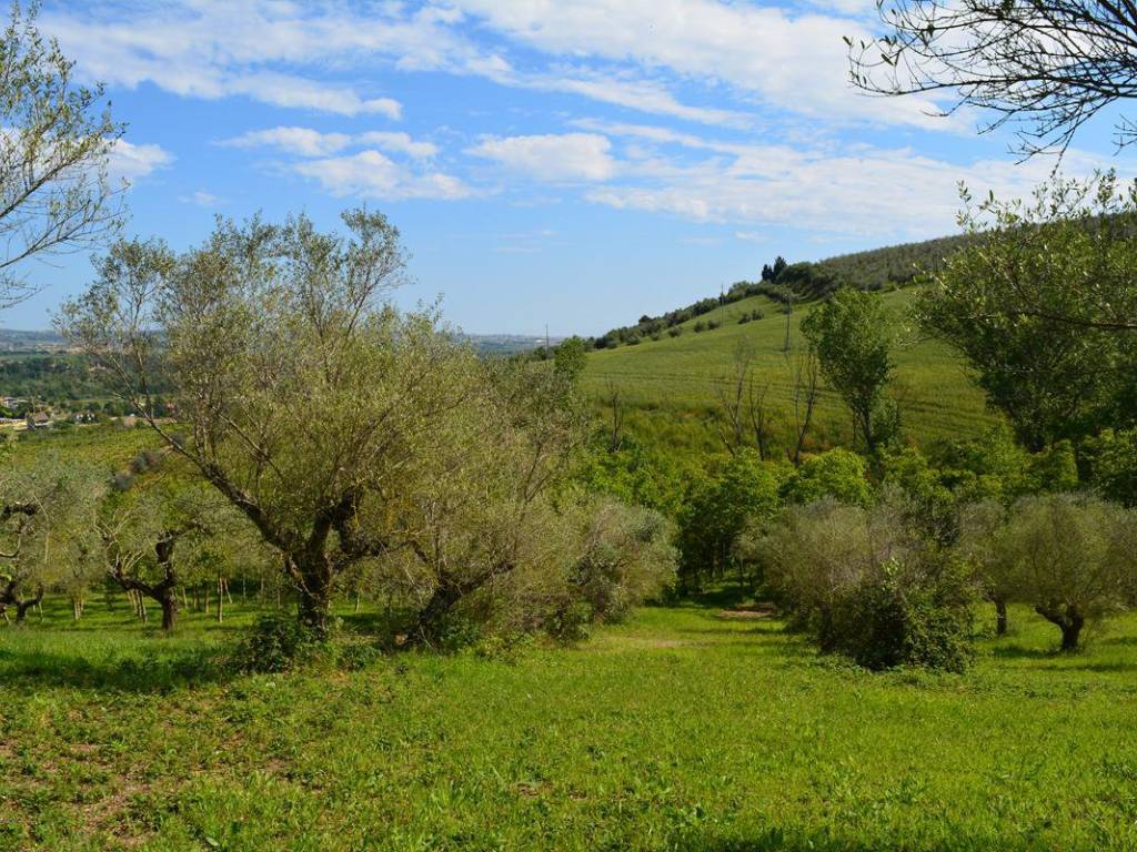 Terreno a Moscufo in Via Chieti - Foto 5