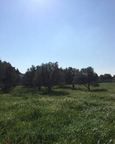 Terreno a Catanzaro in via Fiume Busento - Foto 2