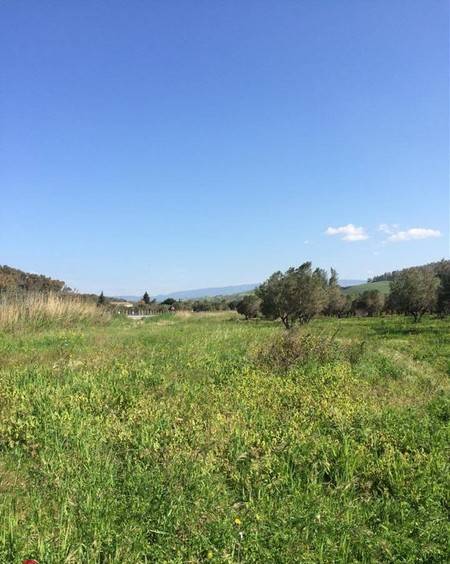 Terreno a Catanzaro in via Fiume Busento - Foto 4