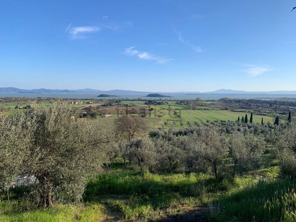 Terreno a Tuoro sul trasimeno in Vernazzano - Foto 3