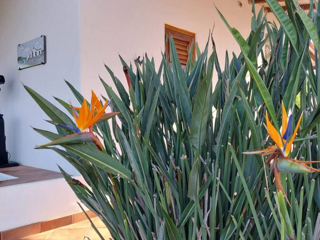 Villa a Lipari in SP179, 10 - Foto 2