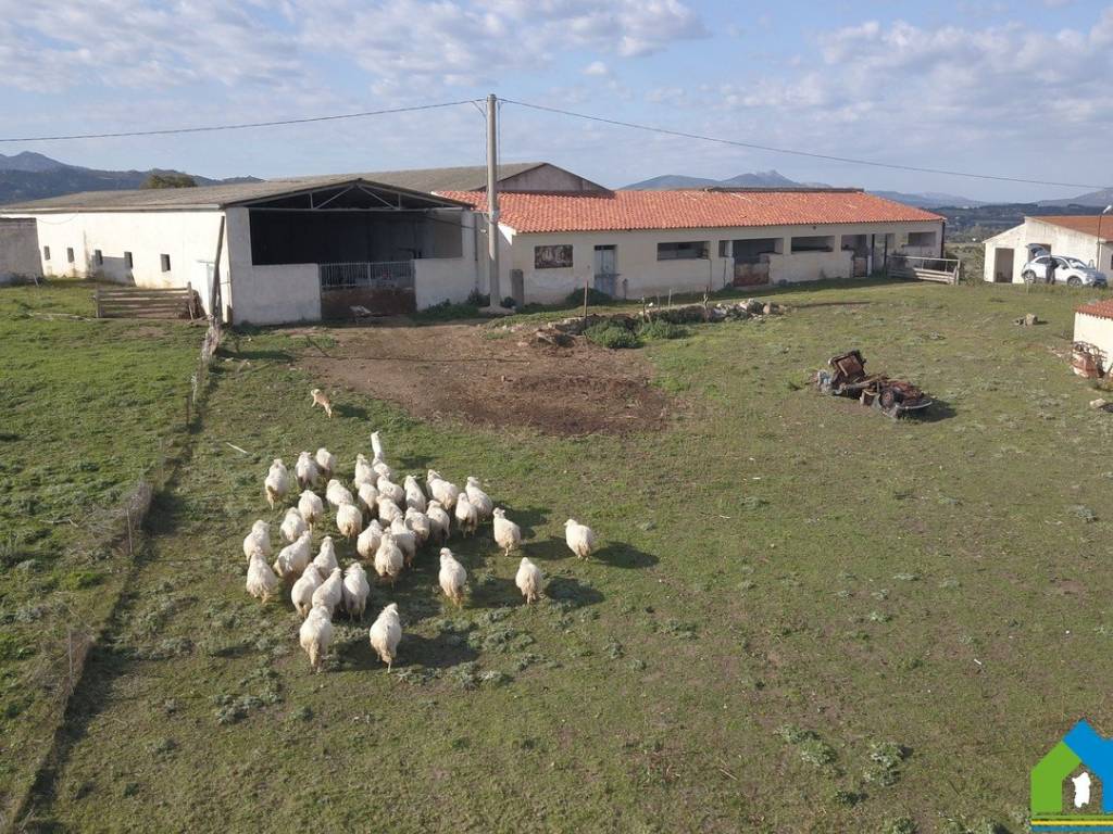 Terreno a Olbia in Via Ciuddi Canini, 6 - Foto 5