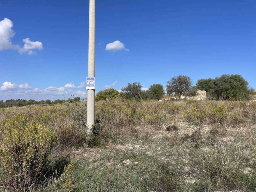 Terreno a Noto in c.da Bonivini - Foto 2