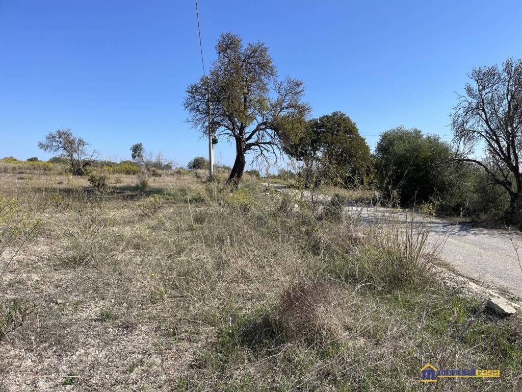Terreno a Noto in c.da Bonivini - Foto 3