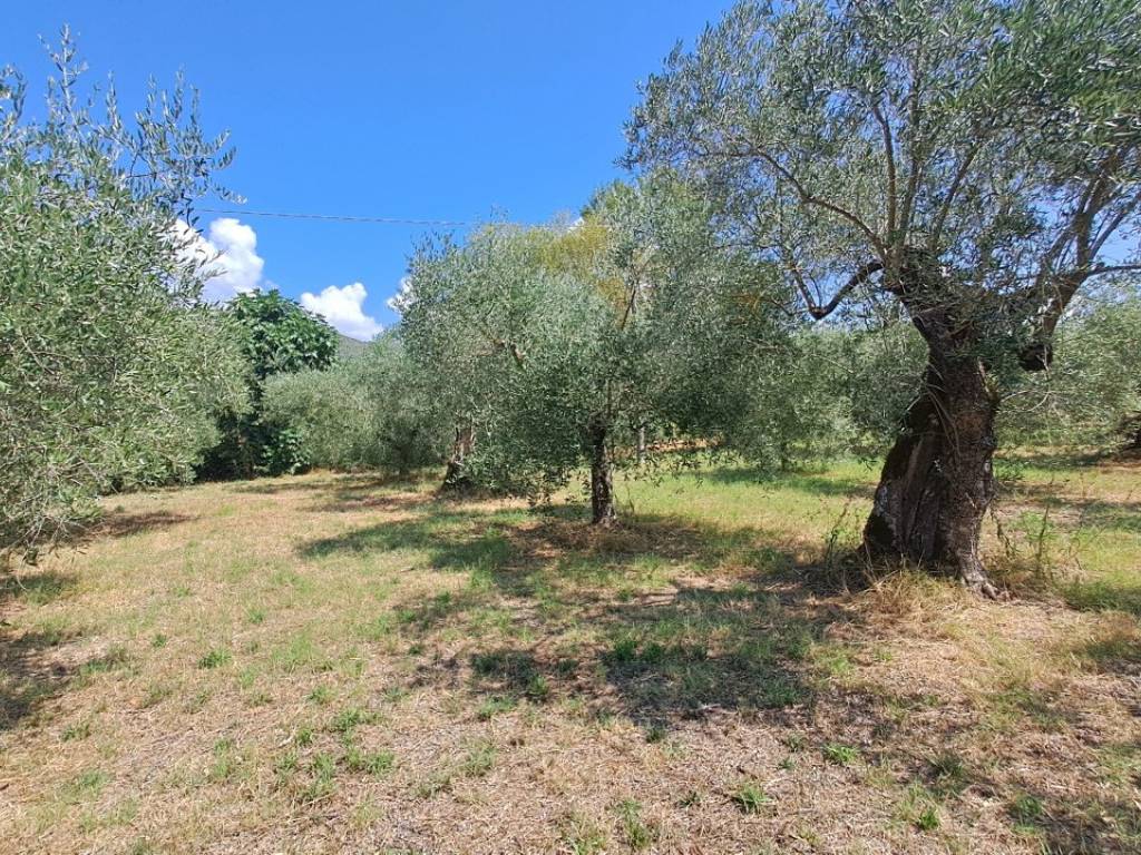 Terreno a Passignano sul trasimeno - Foto 3