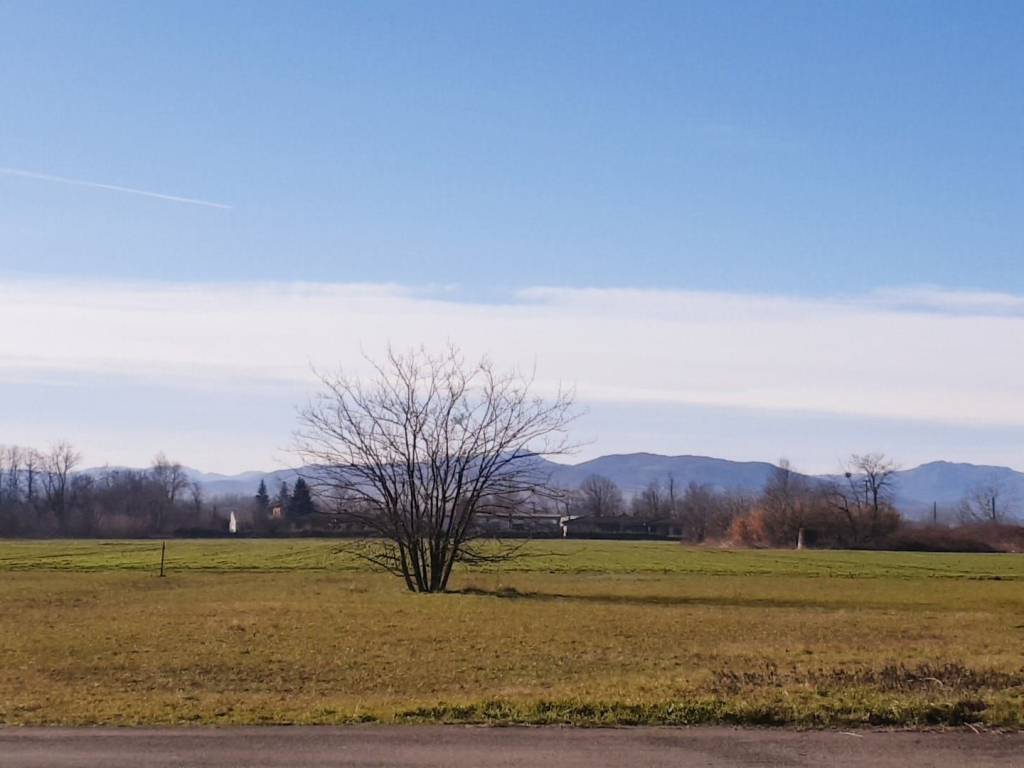 Terreno a Gossolengo in Strada Provinciale di Gossolengo, 6 - Foto 4