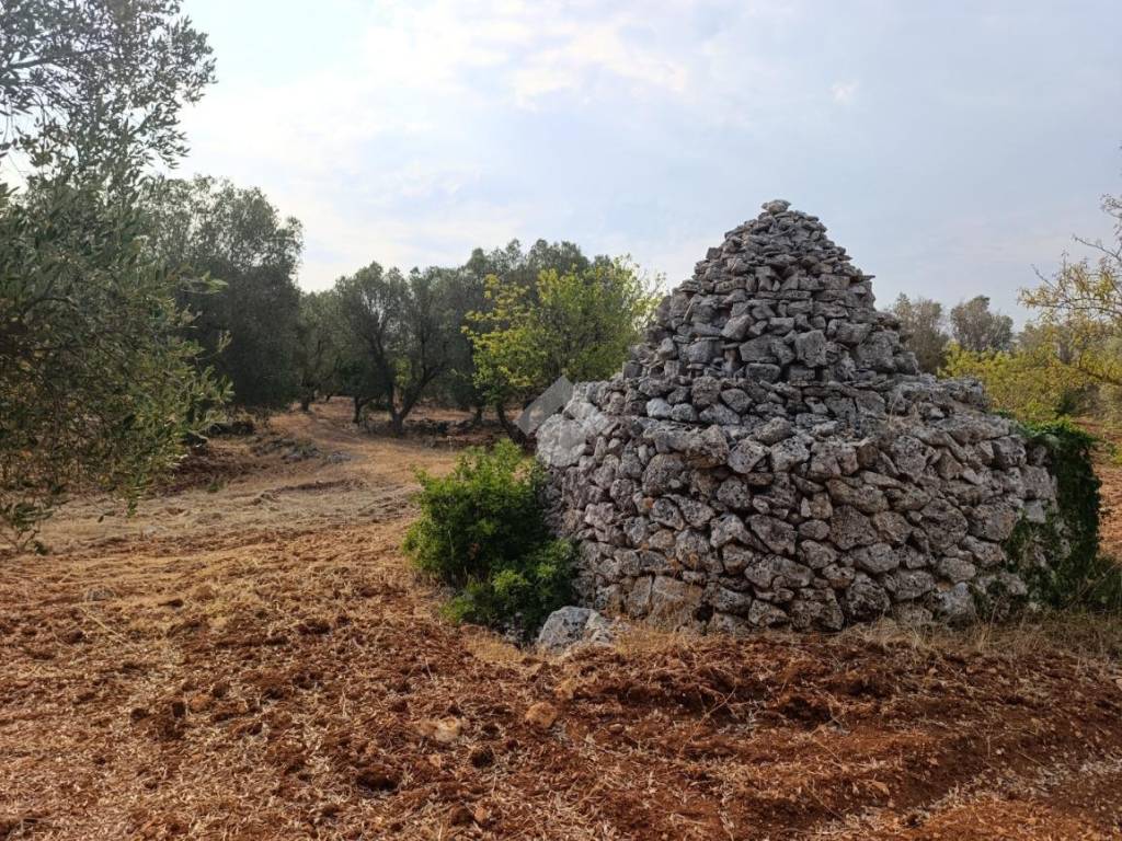 Rustico / casale a Ceglie messapica in Contrada Jazzo - Foto 4