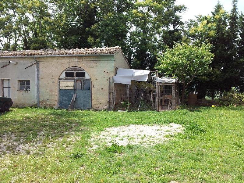 Rustico / casale a Macerata - Foto 5