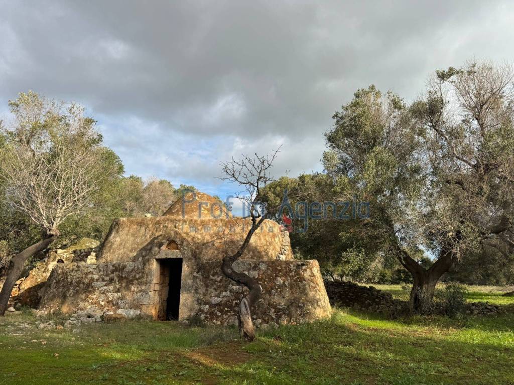 Rustico / casale a Carovigno - Foto 2