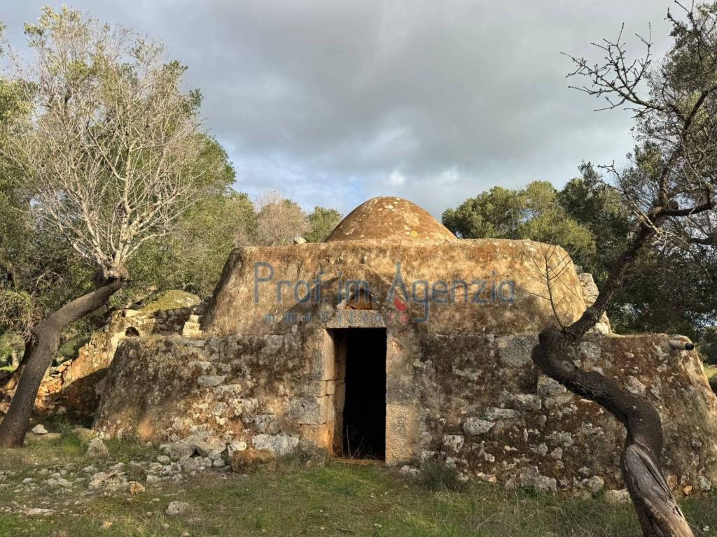 Rustico / casale a Carovigno - Foto 3