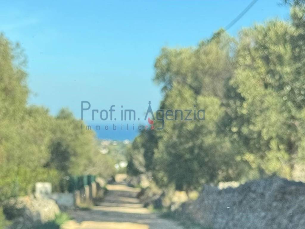 Rustico / casale a Carovigno - Foto 4