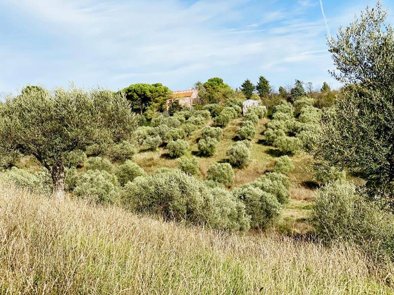 Terreno a Montesilvano in Via Alcide De Gasperi - Foto 3