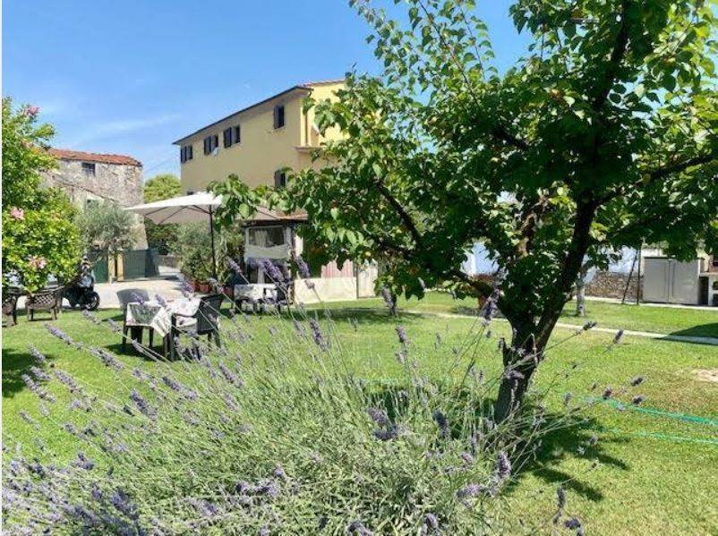 Rustico / casale a Sarzana - Foto 4