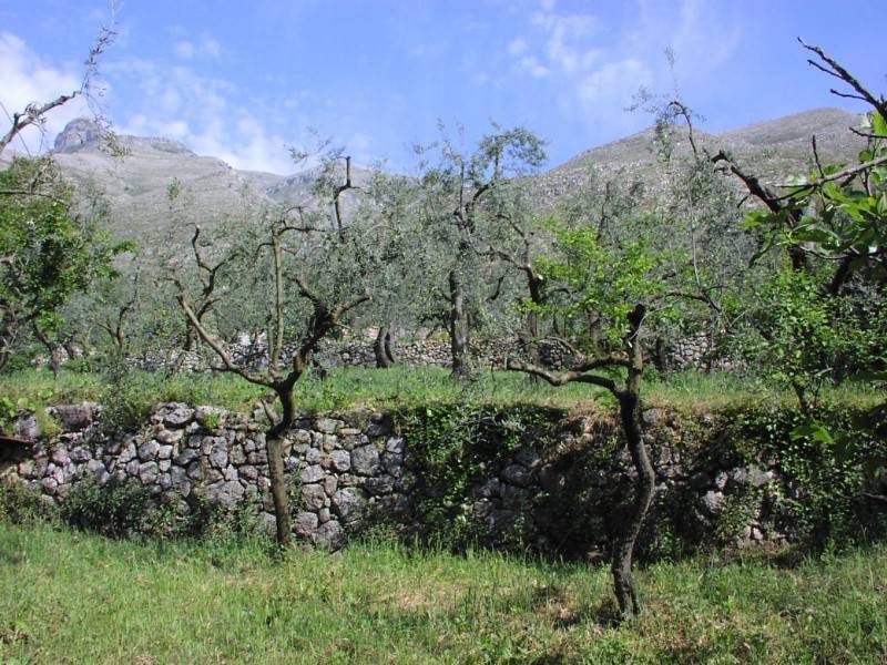 Terreno a Formia in Via Rovegno - Foto 5