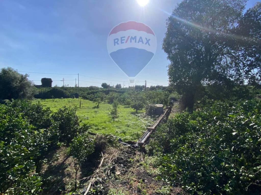 Rustico / casale a Acireale in Via della Rinascita - Foto 3