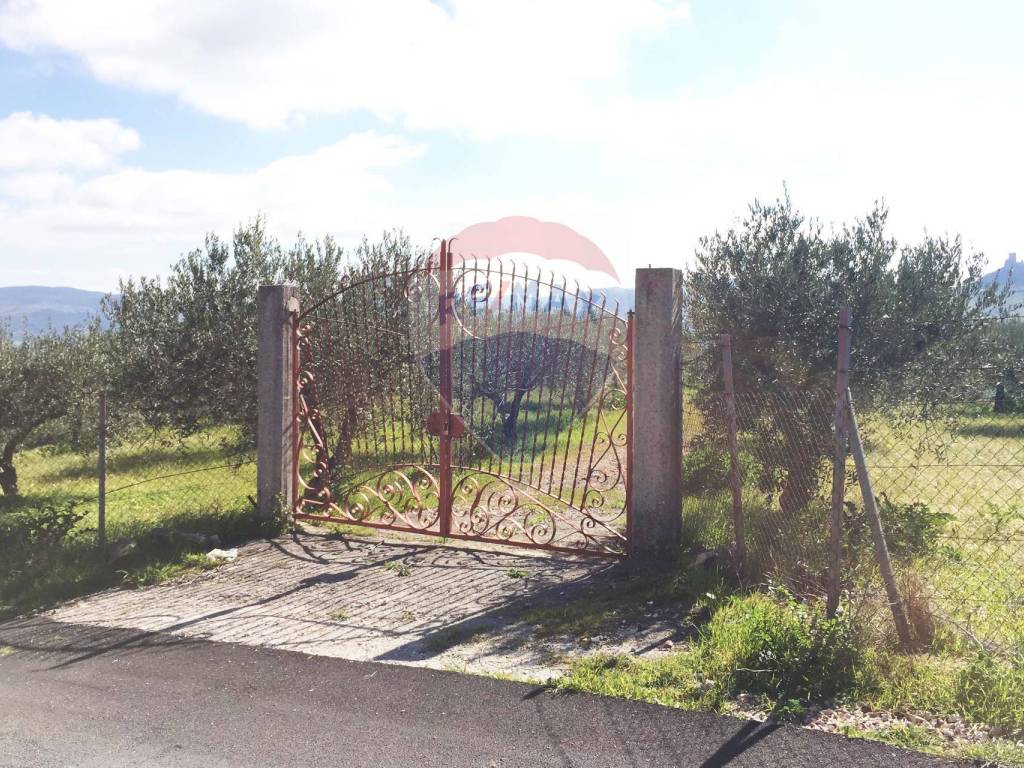 Terreno a Marineo in Contrada Bagni Crisiola - Foto 2