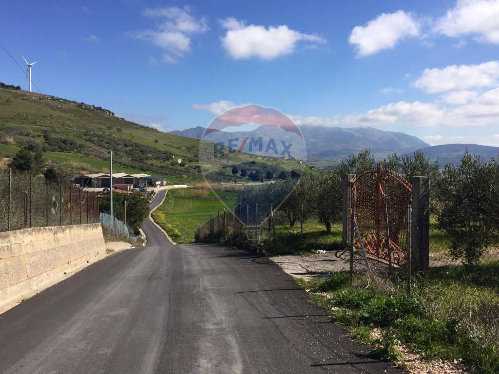 Terreno a Marineo in Contrada Bagni Crisiola - Foto 5