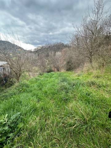 Rustico / casale a Alatri in Via Monte San Marino - Foto 5