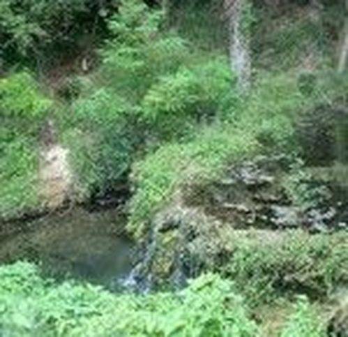 Rustico / casale a Rapolano terme - Foto 2