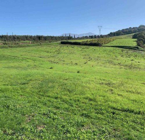 Terreno a Castel del piano - Foto 3