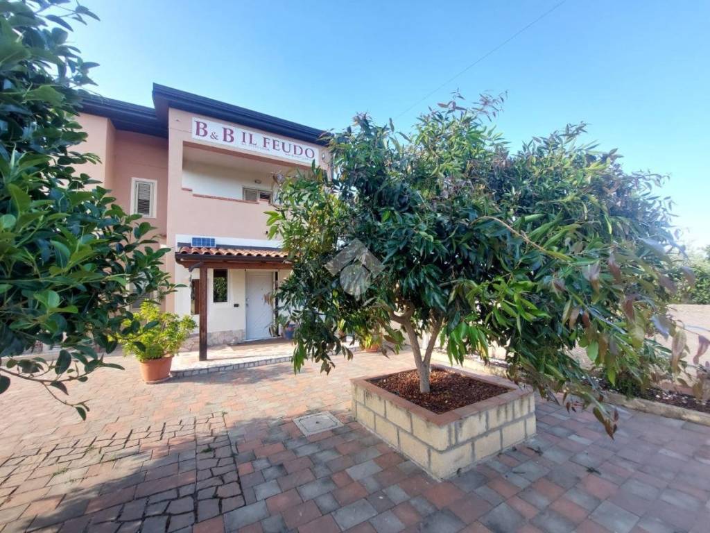 Casa indipendente a Sellia marina in VIA SCILOTRACO - Foto 4