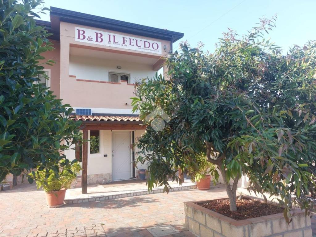Casa indipendente a Sellia marina in VIA SCILOTRACO - Foto 5