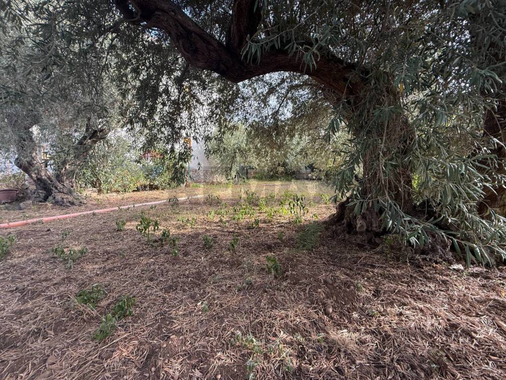 Villa a Altavilla milicia in Chiesazza Sperone - Foto 5