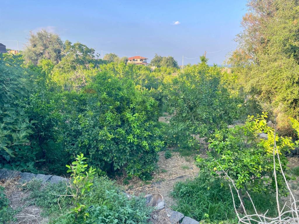 Terreno a Acireale in Via Colomba, 34 - Foto 3