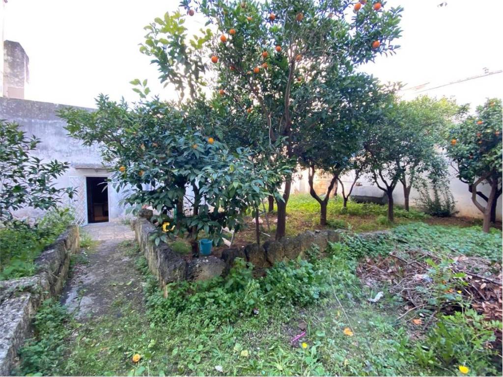 Casa indipendente a Casarano in via vittorio emanuele 2, 64 - Foto 5