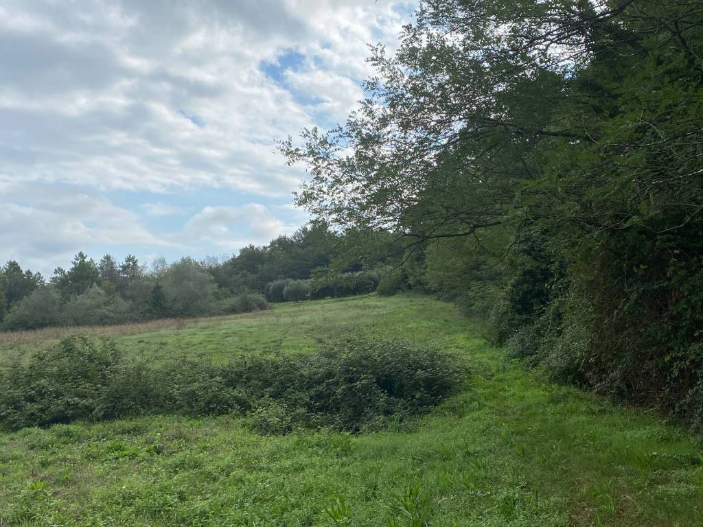 Terreno a Santa croce sull'arno in Via Bocciardi - Foto 3