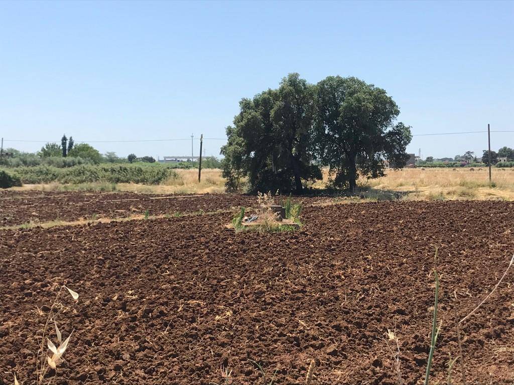 Terreno a Pontinia - Foto 2