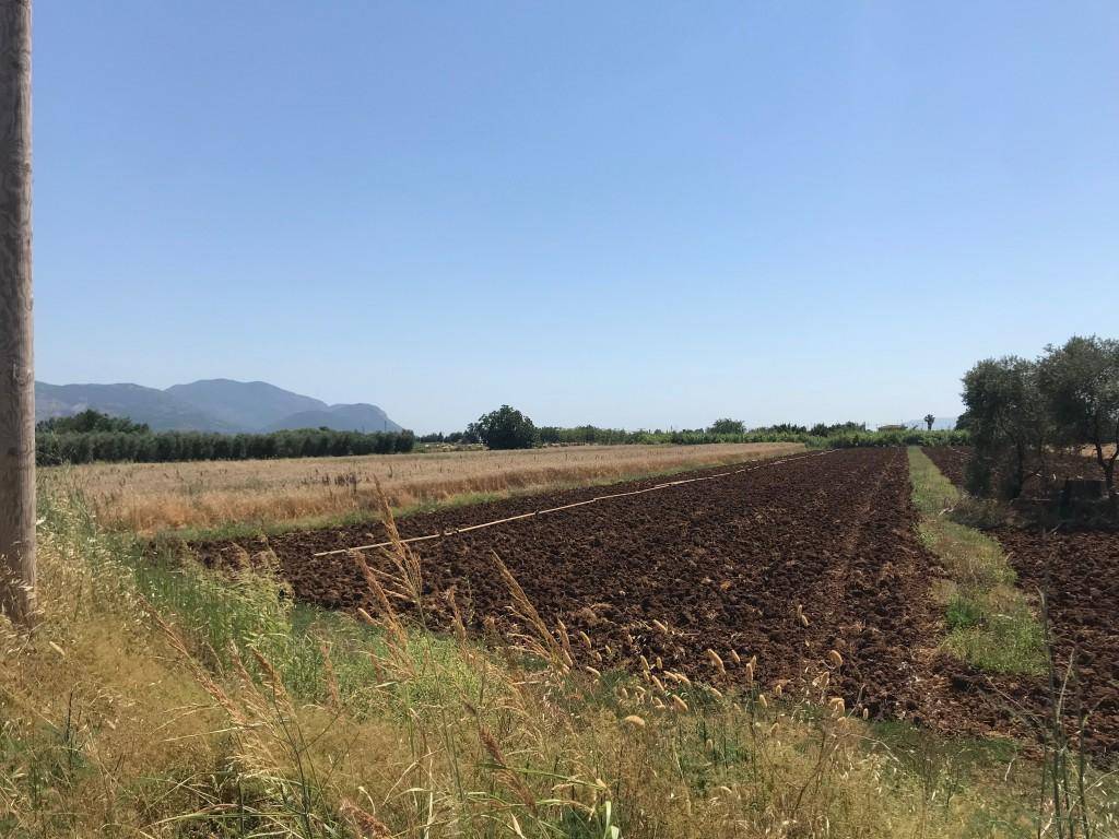 Terreno a Pontinia - Foto 3