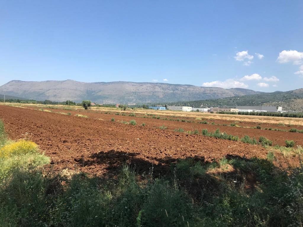 Terreno a Pontinia - Foto 5