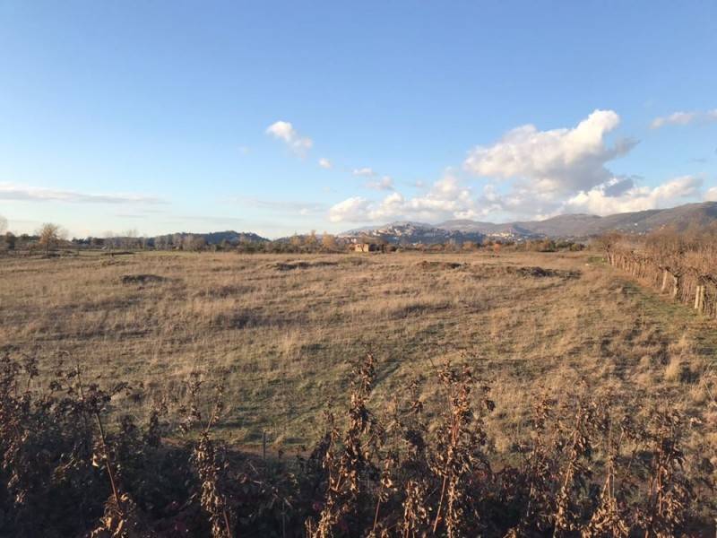 Terreno a Ferentino - Foto 2